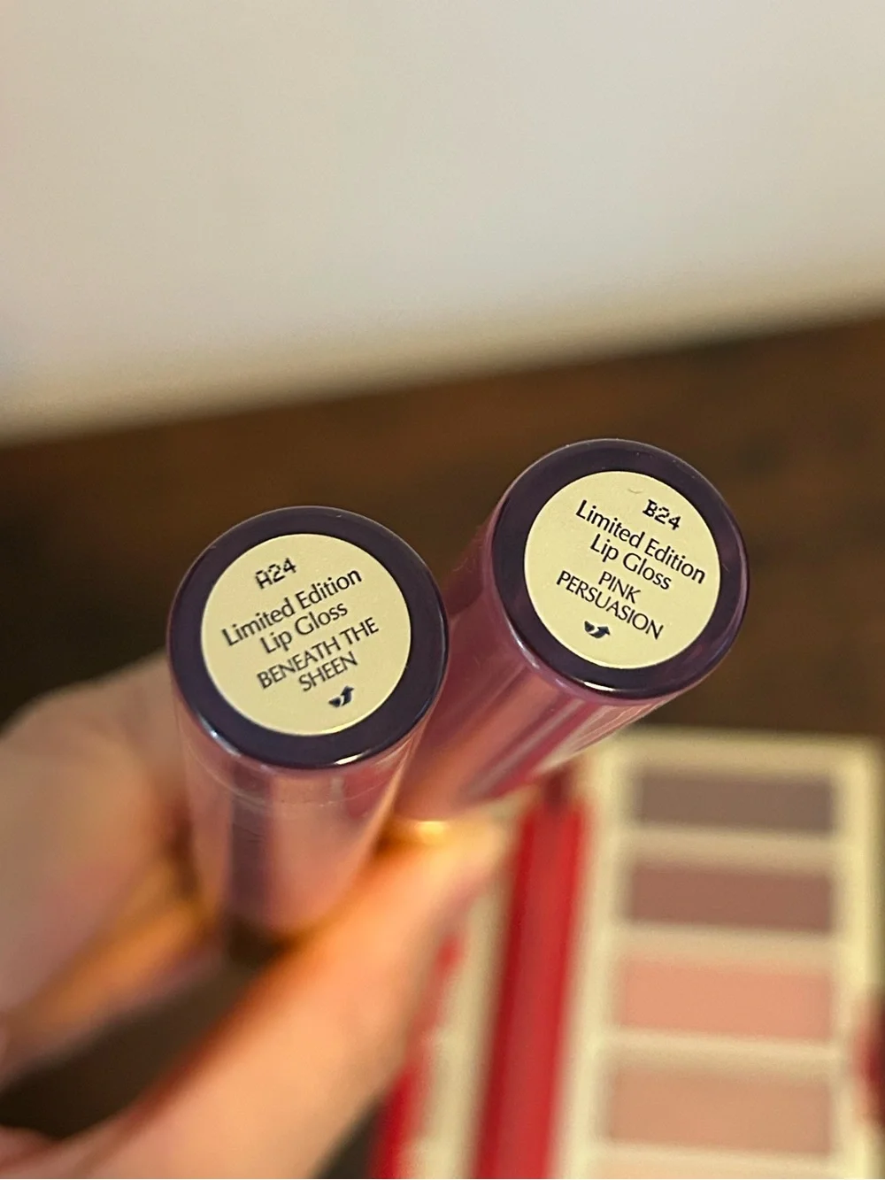 Estee Lauder Eyeshadow Palette and Lip Gloss Set